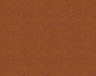 [1001111157_62] Flotex Colour у рулоні - s290024 Calgary fire